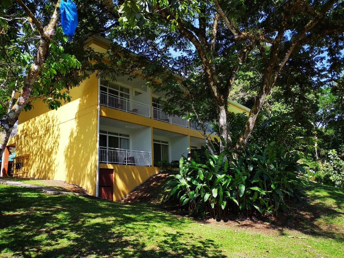 Hotel Villa Florencia Turrialba Esterno foto