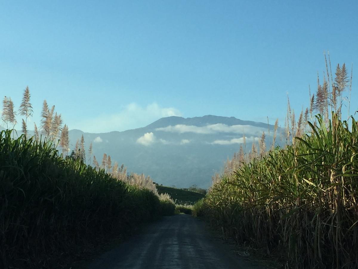 Hotel Villa Florencia Turrialba Esterno foto